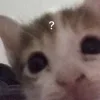 ❓ Эмодзи «#ILOVECATS!» для Telegram