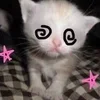 😵‍💫 Эмодзи «#ILOVECATS!» для Telegram