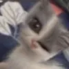 💀 Эмодзи «#ILOVECATS!» для Telegram