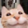 😍 Эмодзи «#ILOVECATS!» для Telegram