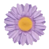 🌸 Эмодзи «𝖵𝗂𝗈𝗅𝖾𝗍𝗍♡» для Telegram