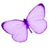🦋 Эмодзи «𝖵𝗂𝗈𝗅𝖾𝗍𝗍♡» для Telegram