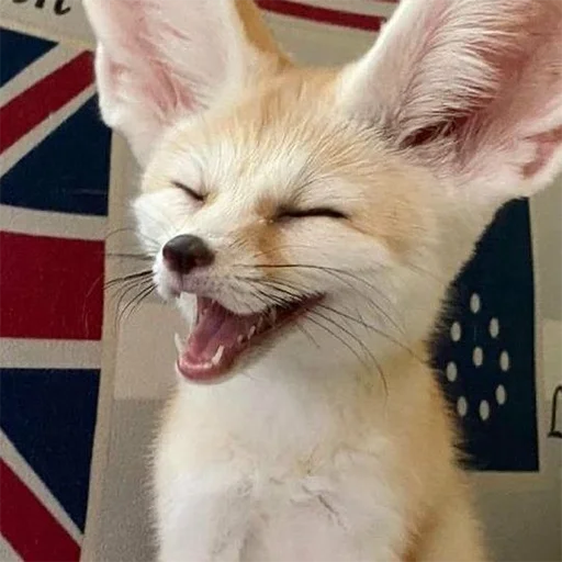 😄 Стикер «Im Fennec» для Telegram