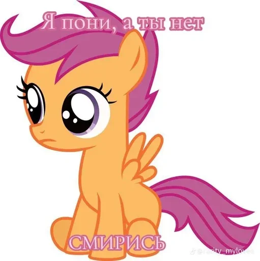 😍 Стикер «I pony a ti net smiris» для Telegram