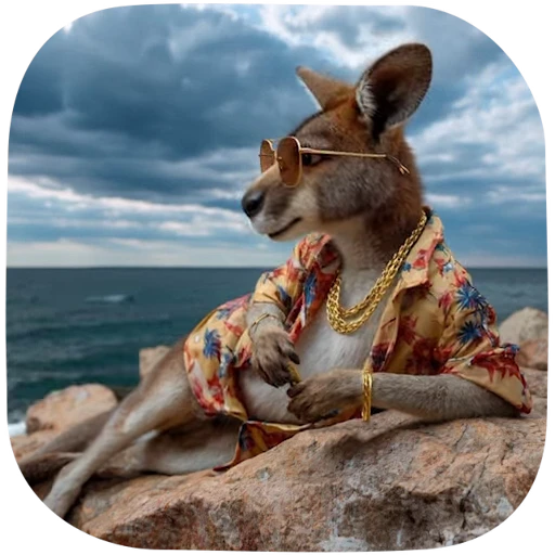 🦘 Стикер «Brainrot animals» для Telegram