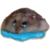 🐹 Эмодзи «🐹 ℍ𝕒𝕞𝕤𝕥𝕖𝕣𝕤 🐹» для Telegram