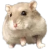 🐹 Эмодзи «🐹 ℍ𝕒𝕞𝕤𝕥𝕖𝕣𝕤 🐹» для Telegram