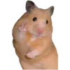 🐹 Эмодзи «🐹 ℍ𝕒𝕞𝕤𝕥𝕖𝕣𝕤 🐹» для Telegram