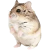 🐹 Эмодзи «🐹 ℍ𝕒𝕞𝕤𝕥𝕖𝕣𝕤 🐹» для Telegram