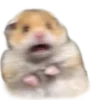 🐹 Эмодзи «🐹 ℍ𝕒𝕞𝕤𝕥𝕖𝕣𝕤 🐹» для Telegram