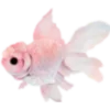 🐠 Эмодзи «𝐼𝑛 𝑡𝒉𝑒 𝑏𝑙𝑢𝑒» для Telegram