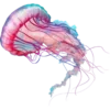 🌊 Эмодзи «𝐼𝑛 𝑡𝒉𝑒 𝑏𝑙𝑢𝑒» для Telegram