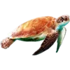 🐢 Эмодзи «𝐼𝑛 𝑡𝒉𝑒 𝑏𝑙𝑢𝑒» для Telegram