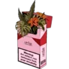 🚬 Эмодзи «ℙ𝕚𝕟𝕜 𝕒𝕕𝕕𝕚𝕔𝕥𝕚𝕠𝕟» для Telegram