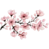 🌸 Эмодзи «ℙ𝕚𝕟𝕜 𝕒𝕕𝕕𝕚𝕔𝕥𝕚𝕠𝕟» для Telegram