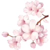 🌸 Эмодзи «ℙ𝕚𝕟𝕜 𝕒𝕕𝕕𝕚𝕔𝕥𝕚𝕠𝕟» для Telegram