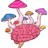 🧠 Эмодзи «ℙ𝕚𝕟𝕜 𝕒𝕕𝕕𝕚𝕔𝕥𝕚𝕠𝕟» для Telegram