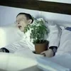🌟 Эмодзи «Интерны ⟢ cr» для Telegram