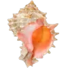 🤩 Эмодзи «Sea Invertebrates» для Telegram