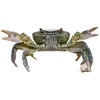 🤩 Эмодзи «Sea Invertebrates» для Telegram