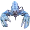 🤩 Эмодзи «Sea Invertebrates» для Telegram