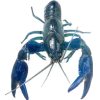 🤩 Эмодзи «Sea Invertebrates» для Telegram