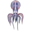 🤩 Эмодзи «Sea Invertebrates» для Telegram