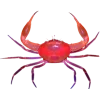 🤩 Эмодзи «Sea Invertebrates» для Telegram