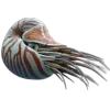 🤩 Эмодзи «Sea Invertebrates» для Telegram