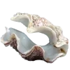 🤩 Эмодзи «Sea Invertebrates» для Telegram