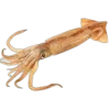 🤩 Эмодзи «Sea Invertebrates» для Telegram
