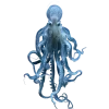 🤩 Эмодзи «Sea Invertebrates» для Telegram
