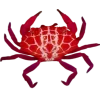 🤩 Эмодзи «Sea Invertebrates» для Telegram
