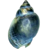 🤩 Эмодзи «Sea Invertebrates» для Telegram
