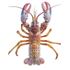 🤩 Эмодзи «Sea Invertebrates» для Telegram