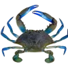 Эмодзи Sea Invertebrates для Telegram — скачать