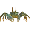 🤩 Эмодзи «Sea Invertebrates» для Telegram