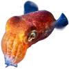 🤩 Эмодзи «Sea Invertebrates» для Telegram
