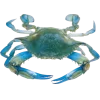 🤩 Эмодзи «Sea Invertebrates» для Telegram