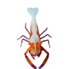 🤩 Эмодзи «Sea Invertebrates» для Telegram
