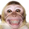 🤩 Эмодзи «Неуязвимый» для Telegram