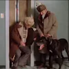 🐕 Эмодзи «Ирония судьбы» для Telegram
