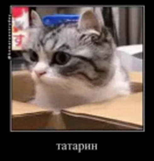 🤩 Стикер «Кринж легендарный сиквел» для Telegram