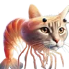 🐈 Эмодзи «🩰 Набор эмоджи с итальянскими мемами» для Telegram