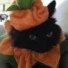 🎃 Эмодзи «Halloween #halloween #status» для Telegram