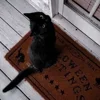 🎃 Эмодзи «Halloween #halloween #status» для Telegram
