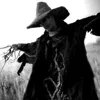 🎃 Эмодзи «Halloween #halloween #status» для Telegram