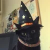 🎃 Эмодзи «Halloween #halloween #status» для Telegram
