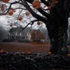🎃 Эмодзи «Halloween #halloween #status» для Telegram