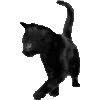 🎃 Эмодзи «Halloween #halloween #status» для Telegram